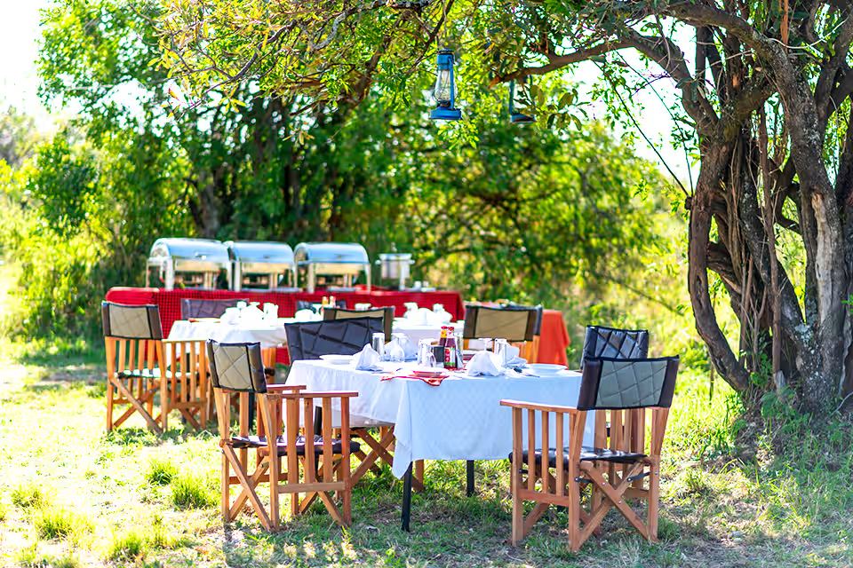 A shaded lunch table on the plains