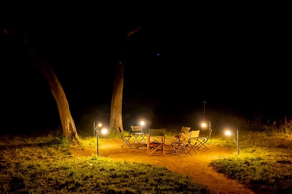 Guests around the campfire