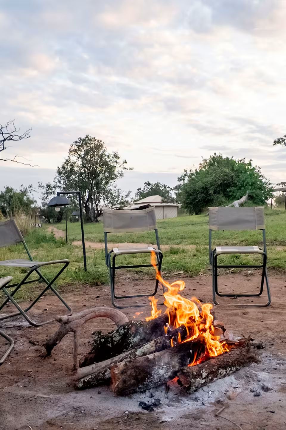 Guests around the evening campfire